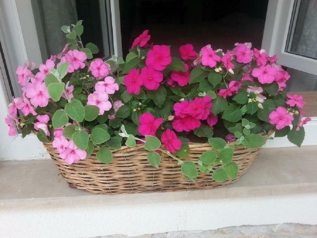 Rosa Apartman Crikvenica Dış mekan fotoğraf